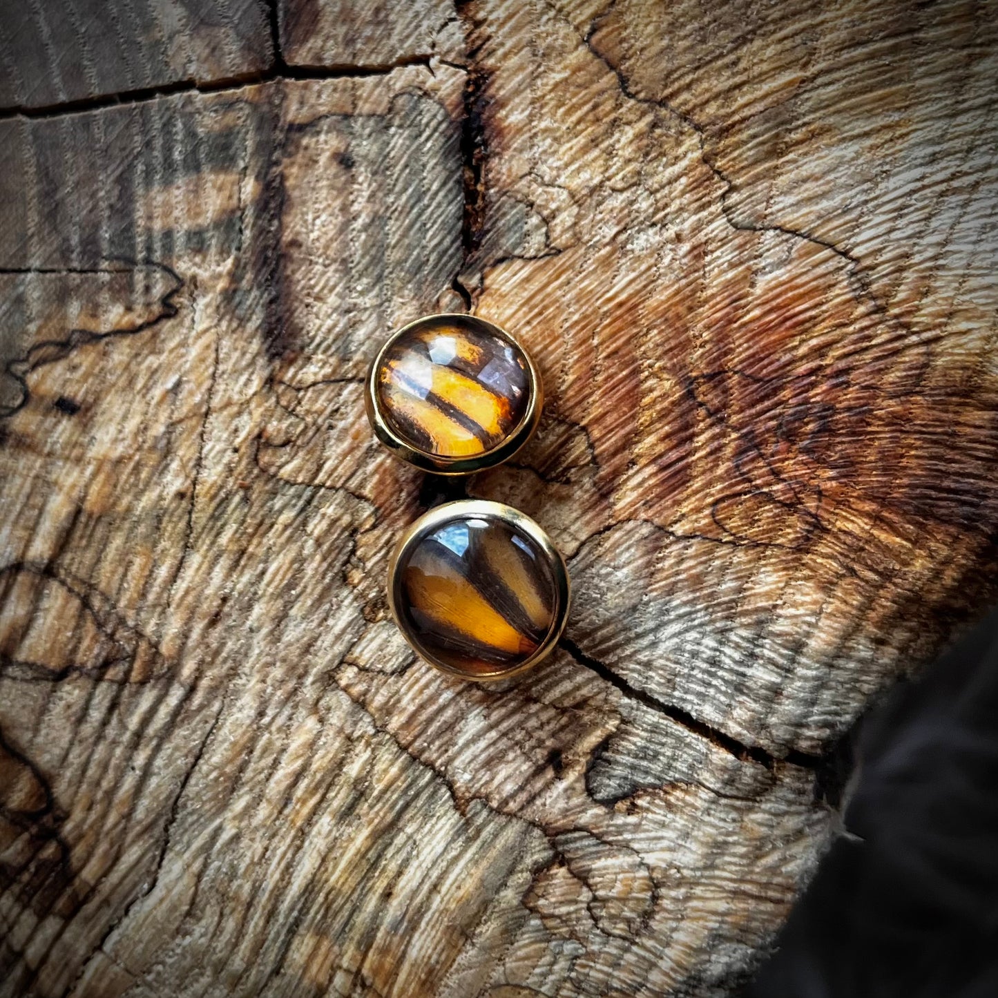 Monarch Butterfly Wing Gold Earrings - 14mm