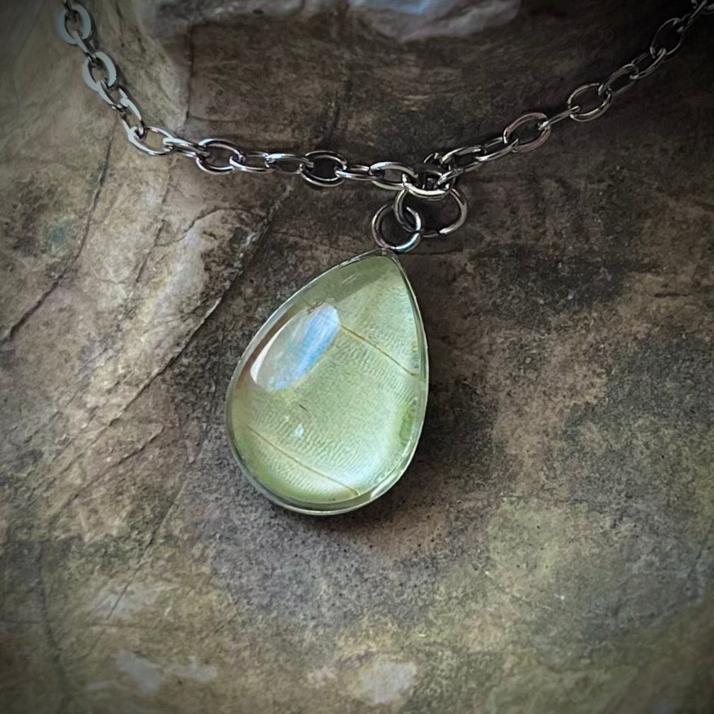 Luna Moth Wing Silver Bracelet - 17.5x10.5mm