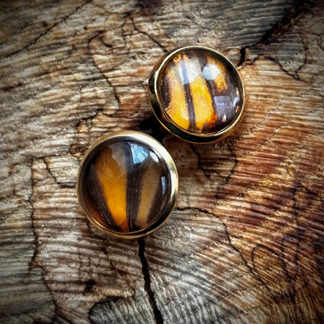 Monarch Butterfly Wing Gold Earrings - 14mm