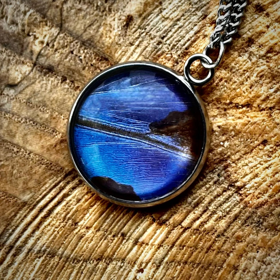 Blue Morpho Butterfly Wing Silver Necklace - 20mm