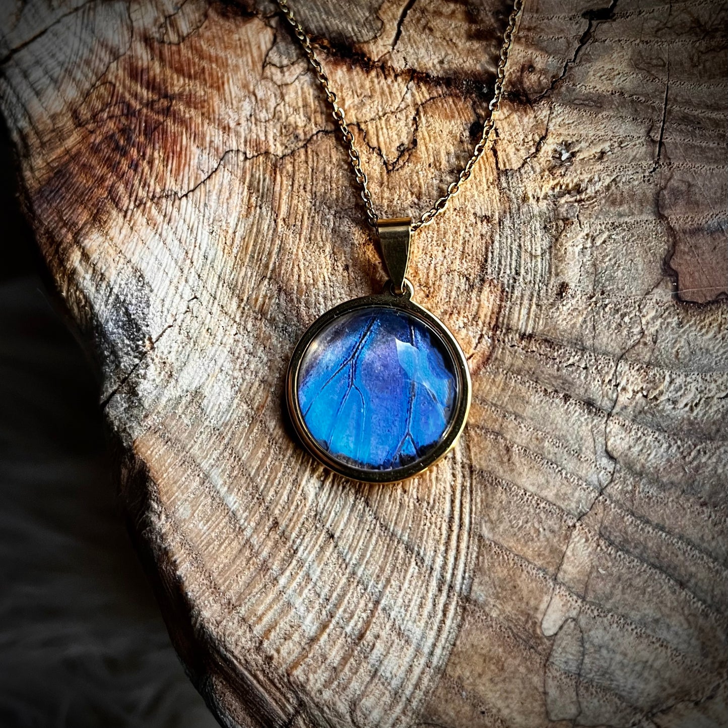 Blue Morpho Butterfly Wing Gold Necklace - 20mm