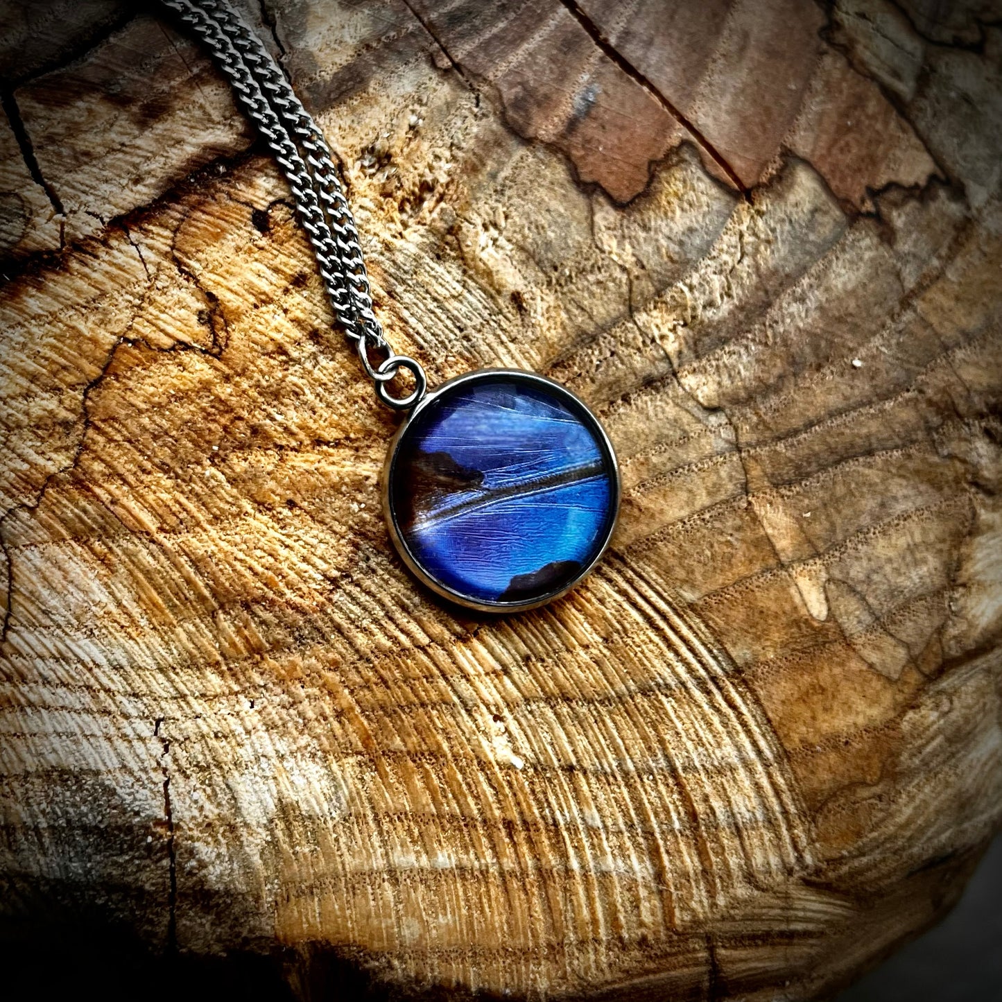 Blue Morpho Butterfly Wing Silver Necklace - 20mm