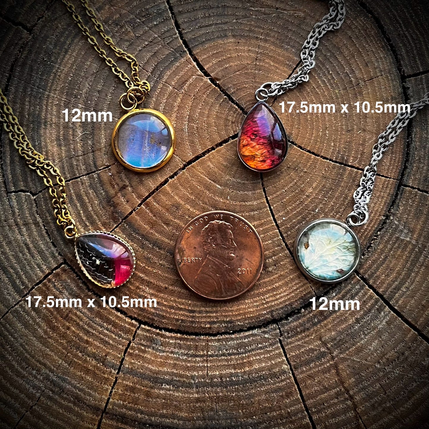 Blue Morpho Butterfly Wing Silver Bracelet - 12mm