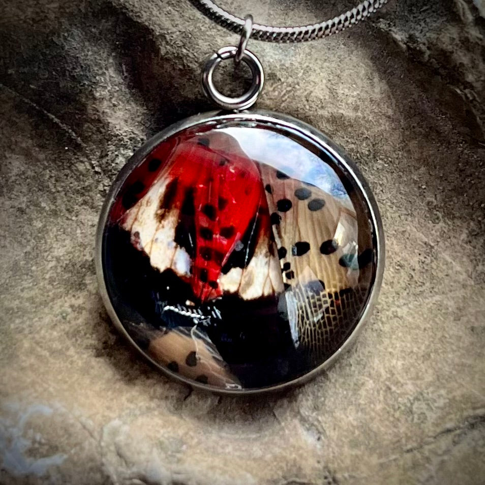 Lanternfly (Spotted Red) Complete Wing Silver Necklace - 20mm